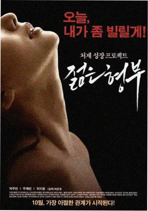 夜樱放映室今日更新《零号观测者》第 11 话